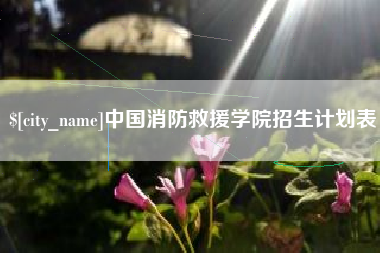 澧县中国消防救援学院招生计划表