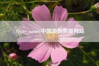澧县中国消防救援网站