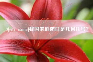 澧县我国的消防日是几月几号？