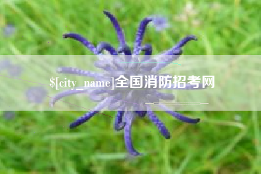澧县全国消防招考网