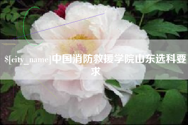 澧县中国消防救援学院山东选科要求