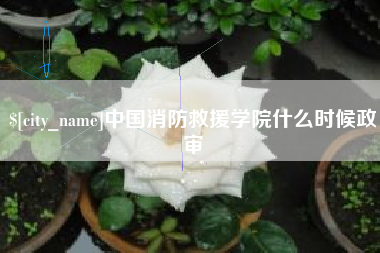 澧县中国消防救援学院什么时候政审