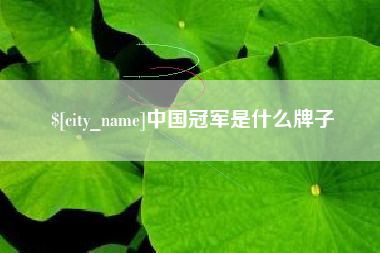 澧县中国冠军是什么牌子