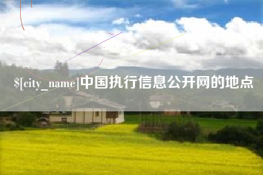 澧县中国执行信息公开网的地点