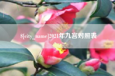 澧县2021年九宫对照表