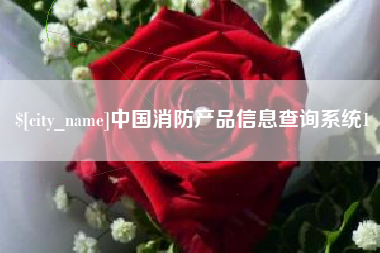 澧县中国消防产品信息查询系统1
