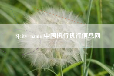 澧县中国执行执行信息网