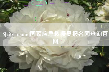 澧县国家应急救援员报名网查询官网