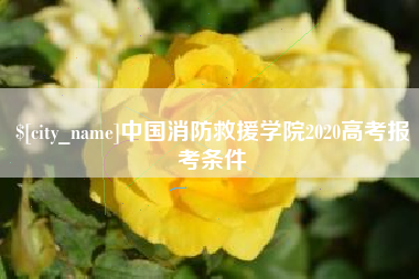 澧县中国消防救援学院2020高考报考条件