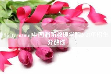 澧县中国消防救援学院2021年招生分数线