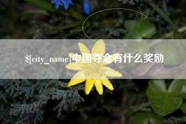 澧县中国夺金有什么奖励