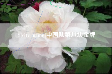 澧县中国队第八块金牌