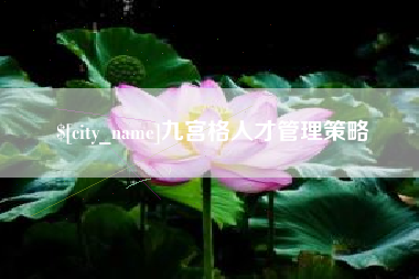 澧县九宫格人才管理策略