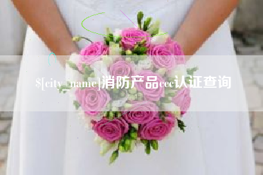 澧县消防产品ccc认证查询