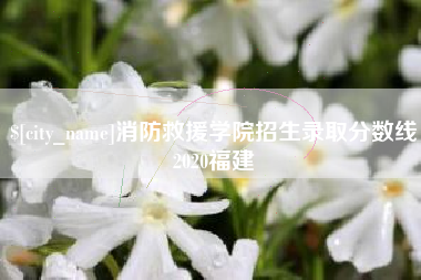 澧县消防救援学院招生录取分数线2020福建