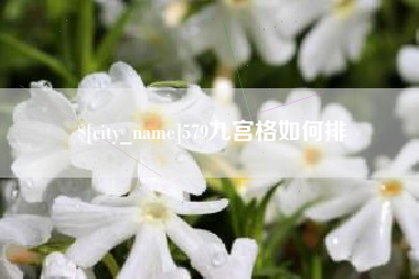 澧县579九宫格如何排