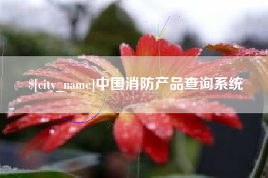 澧县中国消防产品查询系统