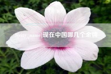 澧县现在中国哪几个金牌