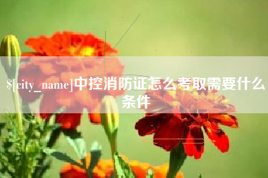 澧县中控消防证怎么考取需要什么条件