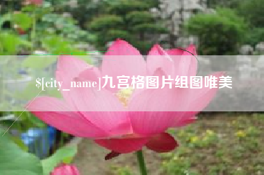 澧县九宫格图片组图唯美