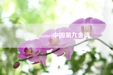 澧县中国第九金牌
