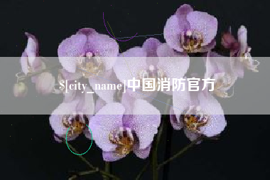 澧县中国消防官方