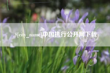 澧县中国执行公开网下载