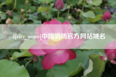 澧县中国消防官方网站域名
