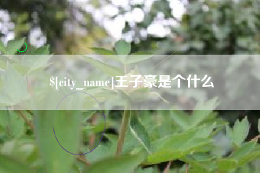 澧县王子豪是个什么