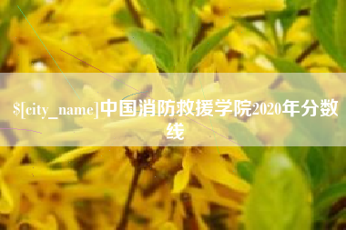 澧县中国消防救援学院2020年分数线