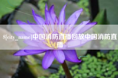 澧县中国消防直播回放中国消防直播