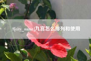 澧县九宫怎么排列和使用