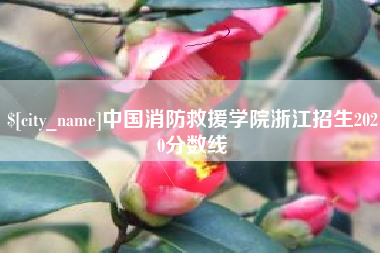 澧县中国消防救援学院浙江招生2020分数线