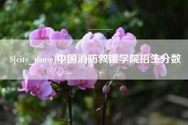 澧县中国消防救援学院招生分数