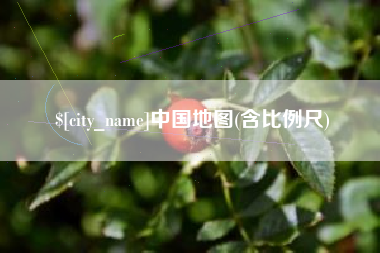 澧县中国地图(含比例尺)