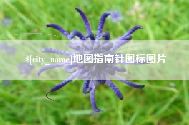 澧县地图指南针图标图片