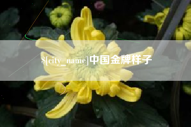 澧县中国金牌样子