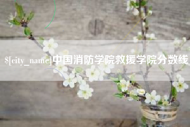 澧县中国消防学院救援学院分数线
