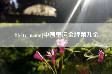 澧县中国奥运金牌第九金
