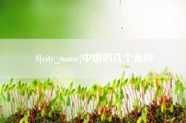 澧县中国的几个金牌