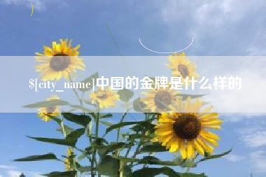 澧县中国的金牌是什么样的