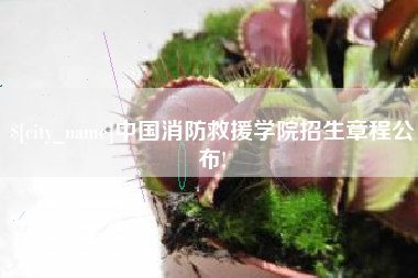 澧县中国消防救援学院招生章程公布!