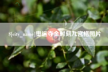 澧县奥运夺金时刻九宫格图片