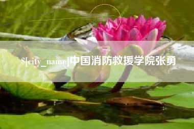 澧县中国消防救援学院张勇