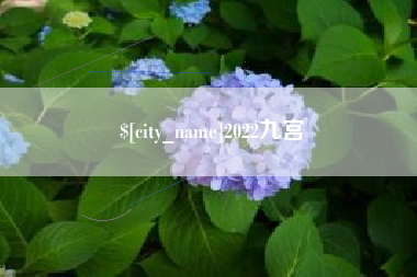 澧县2022九宫