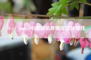 澧县中国消防救援学院分数线