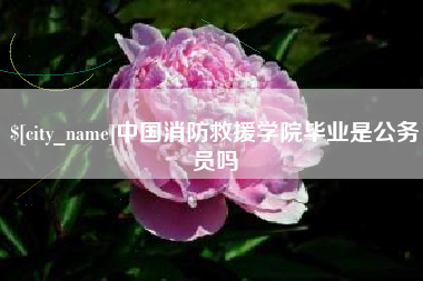 澧县中国消防救援学院毕业是公务员吗