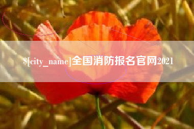 澧县全国消防报名官网2021
