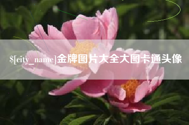 澧县金牌图片大全大图卡通头像