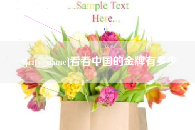 澧县看看中国的金牌有多少